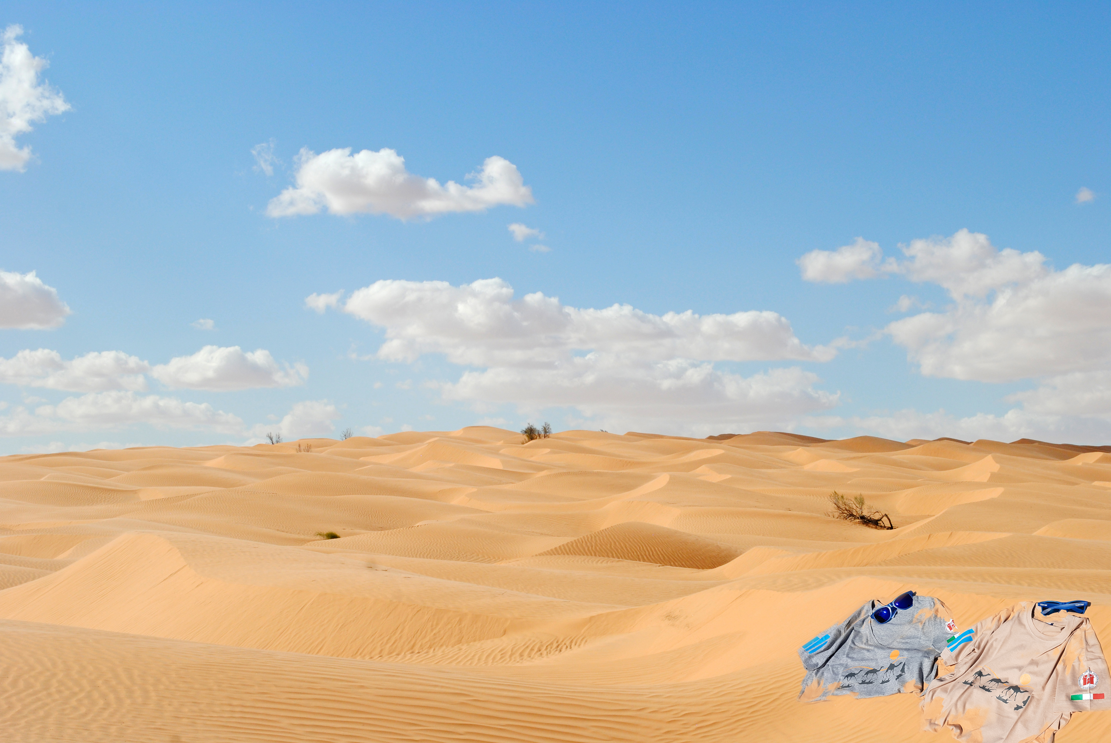 Missione Sahara!! - foto 1